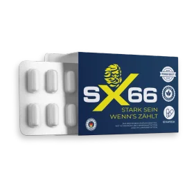 SX66